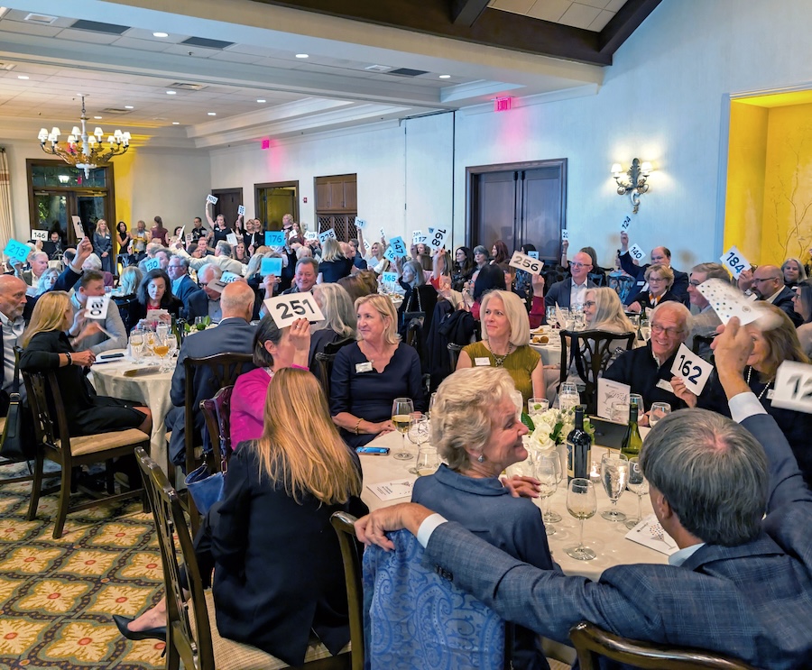 Cocktails for a Cause 2024